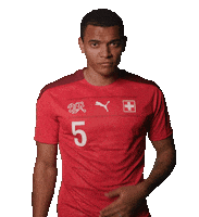 Manuel Akanji Goal Sticker by Swiss Football Association