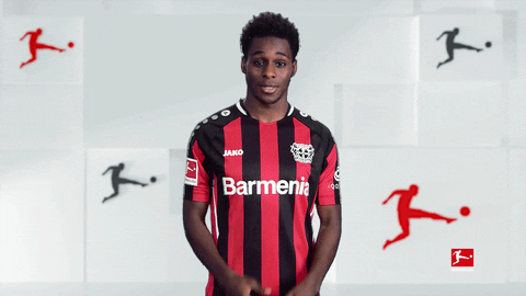 Bayer 04 No GIF by Bundesliga