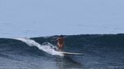 oysurfapparel wave surf longboard oy GIF
