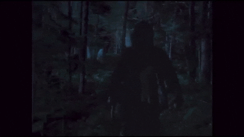 walterlhollmann giphyupload in a violent nature GIF