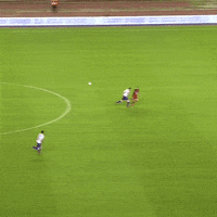 nkosijek football goal osijek nk osijek GIF