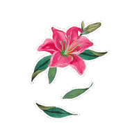 Azalea Sticker by marie birdie sport