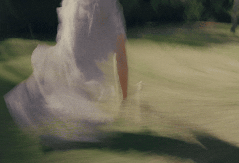 Pop Music GIF by Hollywood Records