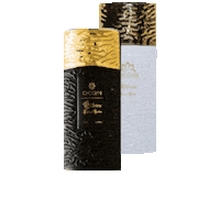 Thomasjud Sticker by extraitdeparfum