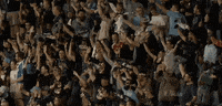 fans doop GIF by Philadelphia Union