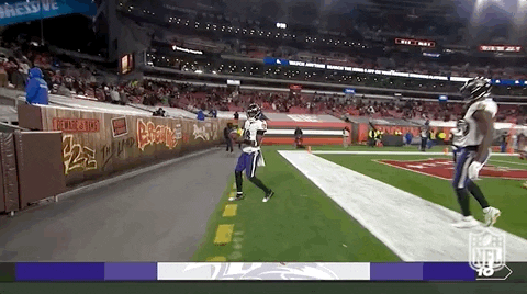 Regular Season Football GIF by NFL