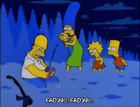 homer simpson episode 6 GIF