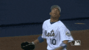 Leaping Ny Mets GIF by New York Mets