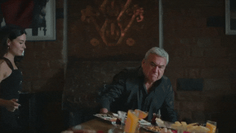 Bereketli Topraklar GIF by Show TV