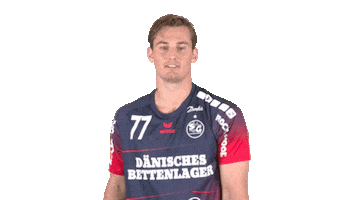 Handball-Bundesliga Finger Sticker by LIQUI MOLY HBL