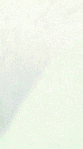 Hotel Vox GIF by Youtooz