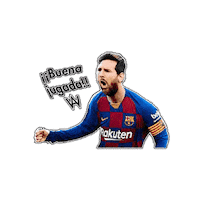 Car Wash Futbol Sticker by Alvato Luxury Detailing