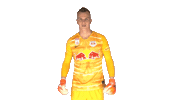 Philipp Koehn Sticker by FC Red Bull Salzburg