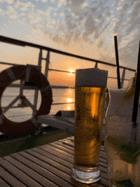 arosacruises beer bier prost arosa GIF