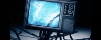GIF by Sub Pop Records