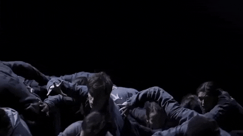 royaloperahouse giphygifmaker flight pattern GIF