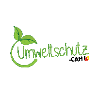 Germany Musica Sticker by ColegioAlemanHumboldt_