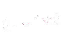 Nuevo Leon Festival Sticker by Nortex