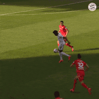 Alphonso Davies Win GIF by FC Bayern Munich