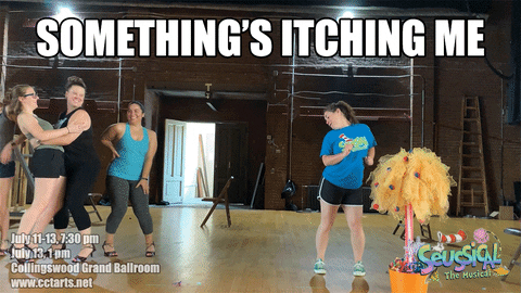 magriffin02 giphyupload musical theatre cat in the hat cctarts GIF
