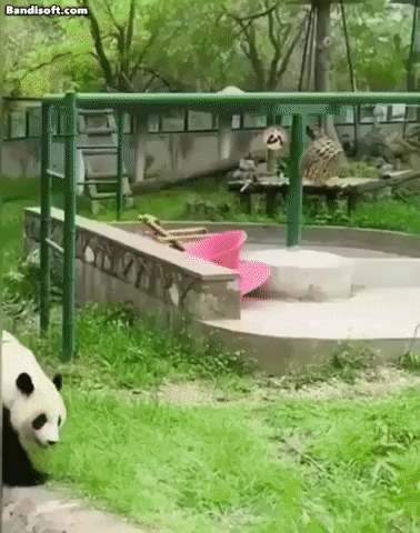 swanjun30 giphyupload GIF