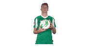 Bundesliga Nick Sticker by SV Werder Bremen