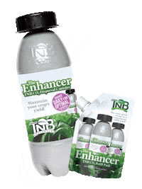 Carbon Dioxide Bottle Sticker by TNB Naturals