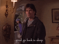 season 3 netflix GIF by Gilmore Girls 