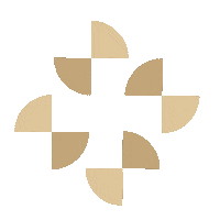 Premiere Zapcoid Sticker by ZAP Clinic