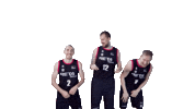 Liga Endesa Dancing Sticker by ACB