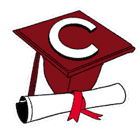 College Graduation Sticker by Colgate University