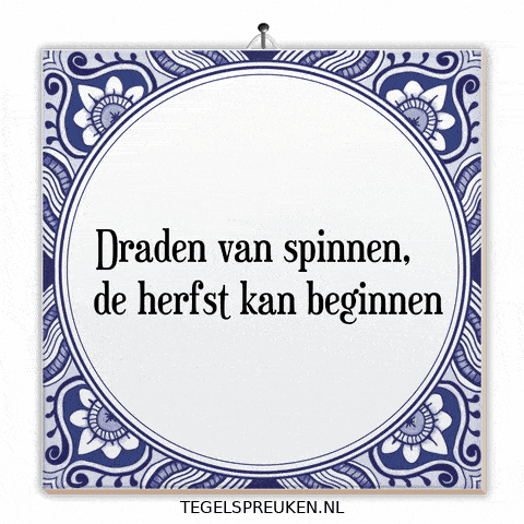 Humor Nl GIF by Tegelspreuken.nl