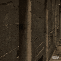 Looking Pedro Pascal GIF by HBO