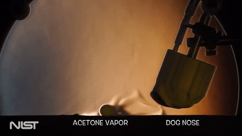 Smell Vapor GIF by National Institute of Standards and Technology (NIST)
