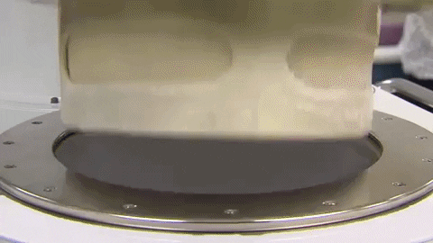 emmaschmidt2b99 giphygifmaker GIF