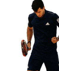 World Padel Tour Ale Sticker by adidas padel - All For Padel