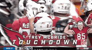 Arizona Cardinals Football GIF by NFL