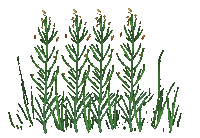 Grass Sticker