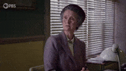 Confused Season 14 GIF by PBS