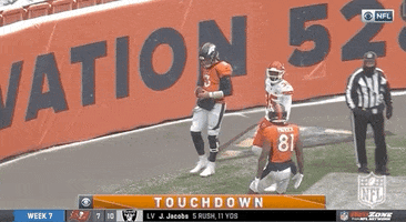 Regular Season Football GIF by NFL