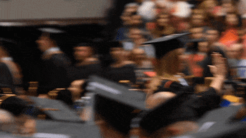 northernillinois graduation grad graduate huskies GIF