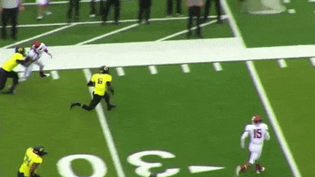 football run washington oregon ducks GIF