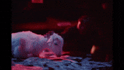 Trompe Loeil GIF by untiljapan