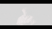 andrew vasquez toto GIF by deladeso