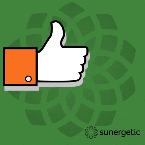 Suner GIF by Sunergetic