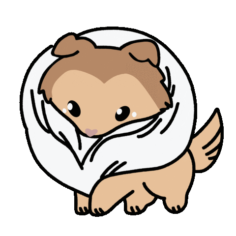 Dog Collie Sticker