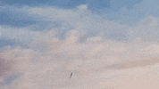 Mdentertainment GIF by MD Pictures