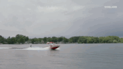 viceland GIF by WEEDIQUETTE
