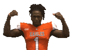 Flex Ax Sticker by Carson-Newman Athletics