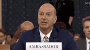 Impeachment Hearings GIF